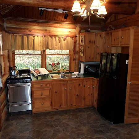 Lake Lucerne Treehouse Villa Eureka Springs Kültér fotó